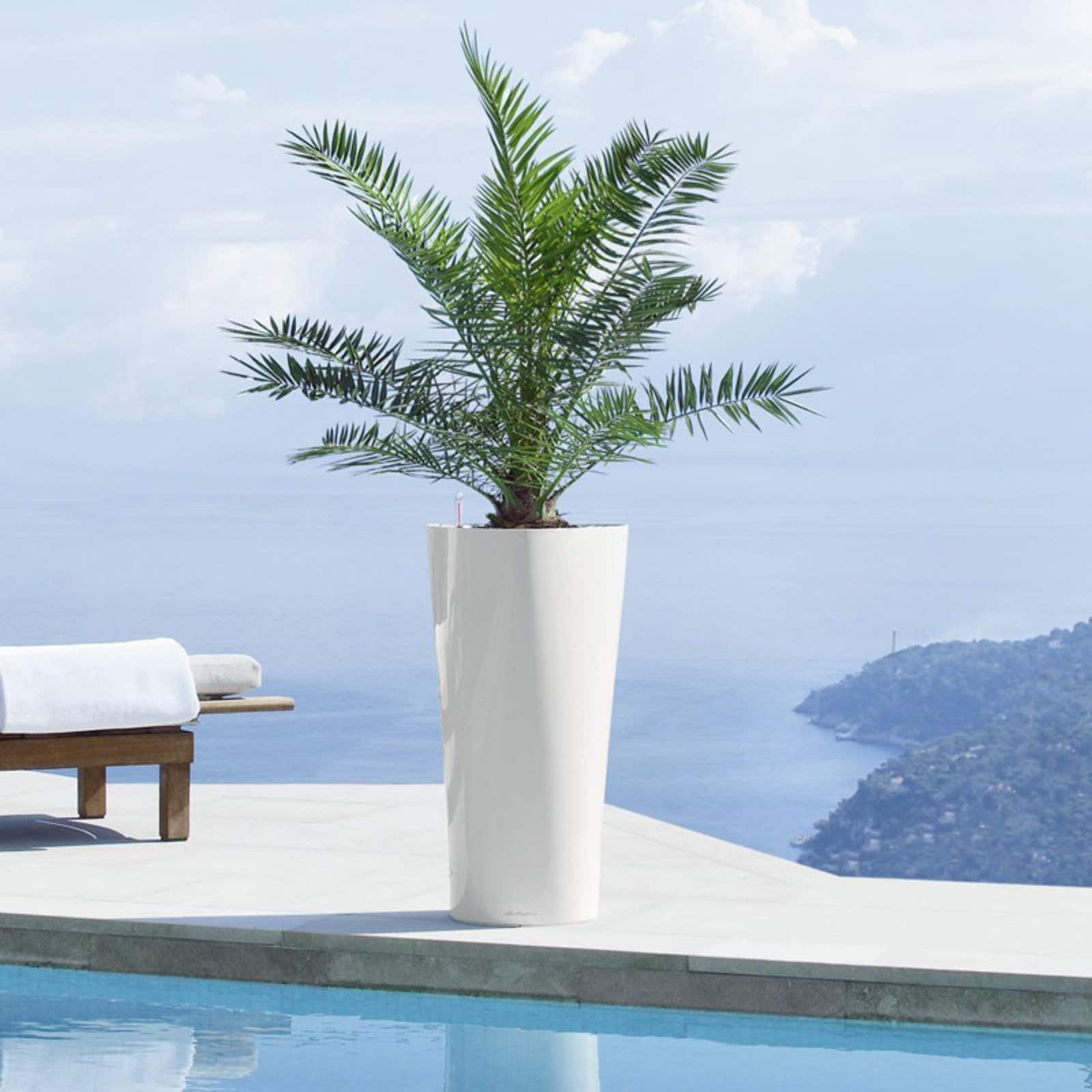lechuza self watering planters lechuza self watering planters