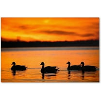 Trademark Fine Art "Jamaica Bay Sunset - NYC II" Canvas Art by David Ayash