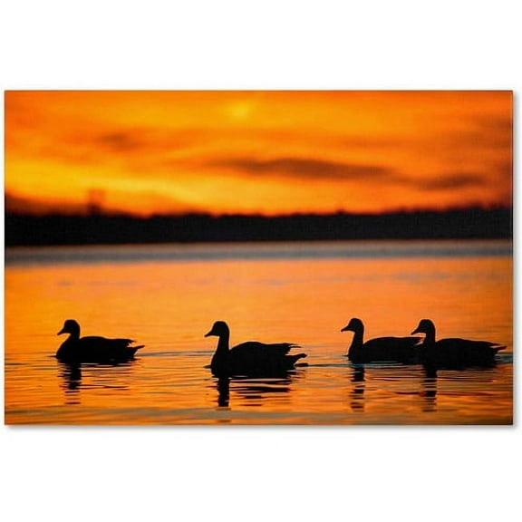 Trademark Fine Art "Jamaica Bay Sunset - NYC II" Canvas Art by David Ayash