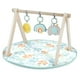 thumbnail image 1 of Tapete Ity Ingenuity Wooden Toy Arch & Play Mat Sun Valley, 1 of 10