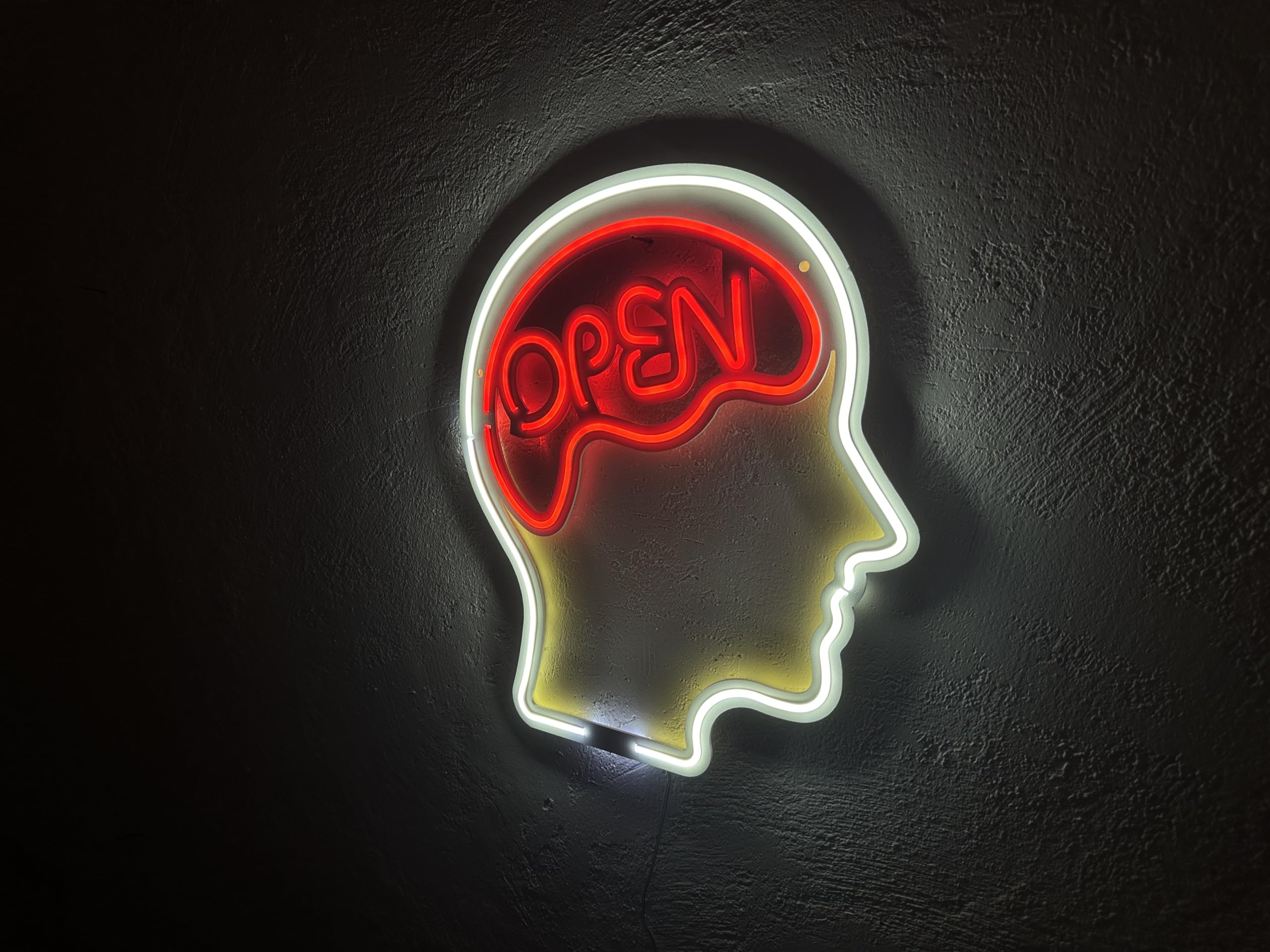 Open Mind Metal Neon Sign, Neon Sign, Neon Wall Art, Bright and Unique Neon Wall Art, Stunning Neon Sign for Anyroom (With Remote Control)