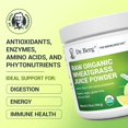 thumbnail image 2 of Dr. Berg Organic Wheatgrass Superfood Raw Juice Powder, Lemon Flavor, 164g, 2 of 10