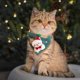 thumbnail image 4 of Pisexur Suministros para mascotas2025 Christmas Pet Bufanda Collarpara perros, gatos y animales., 4 of 4