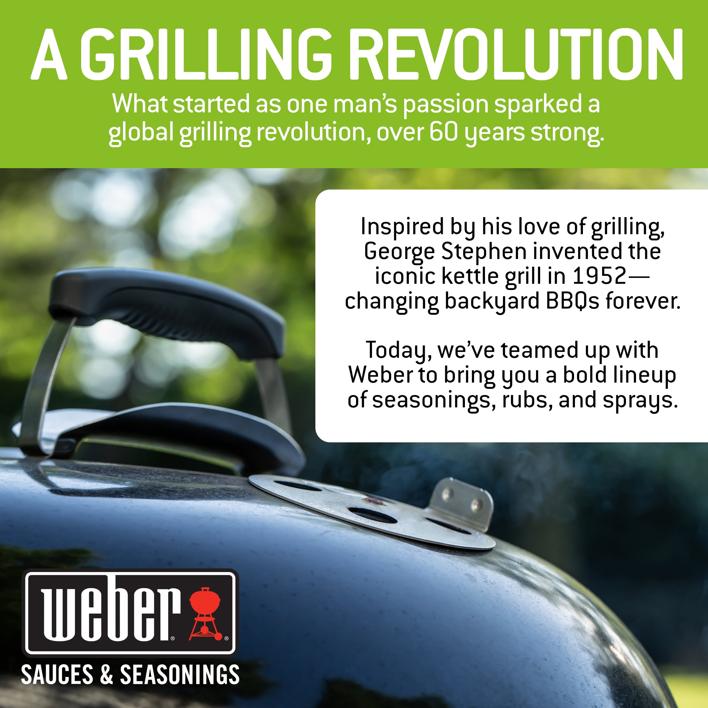 Weber Garlic Parmesan Seasoning, Gluten Free, 4.3 oz