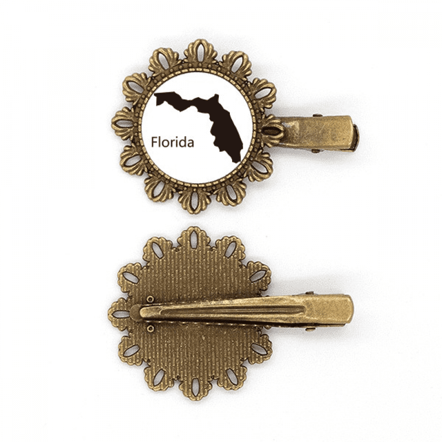 Tocado de pieza de pelo de horquilla de flor de metal vintage Unbranded Florida Latina usa mapa silueta
