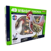 4D Master 4D Vision Chicken Anatomy Model