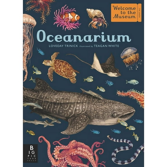 Welcome to the Museum Oceanarium: Welcome to the Museum, (Hardcover)