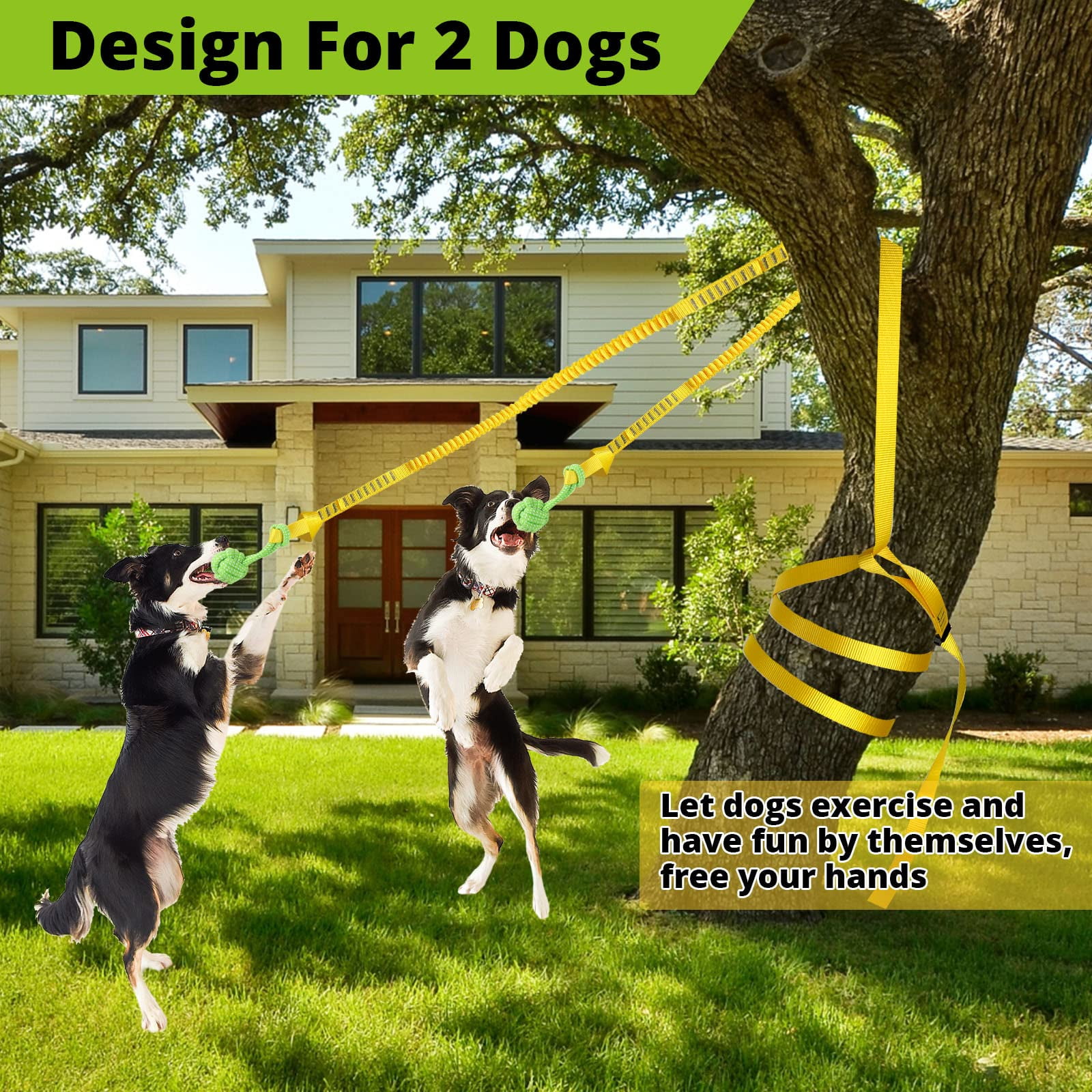 Dog tether toy hotsell