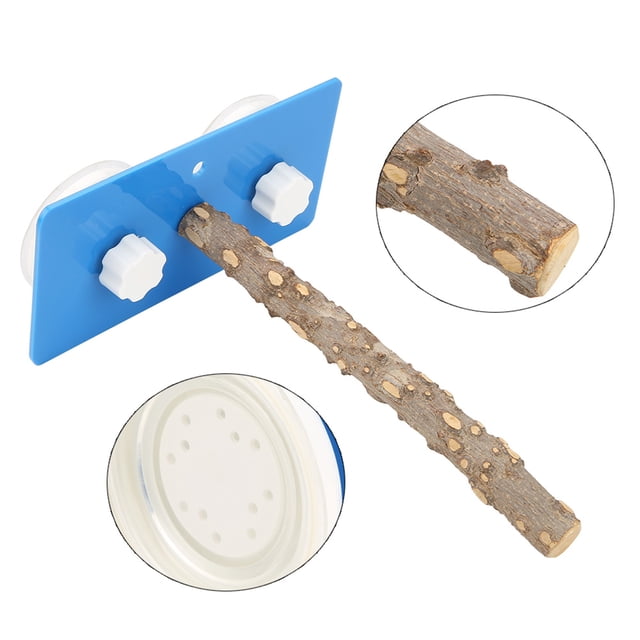 Standing Rack, Bird Standing Rack Standing Rack, With Suction Cup Travel Outdoors Animals Pets For Birds Parrots