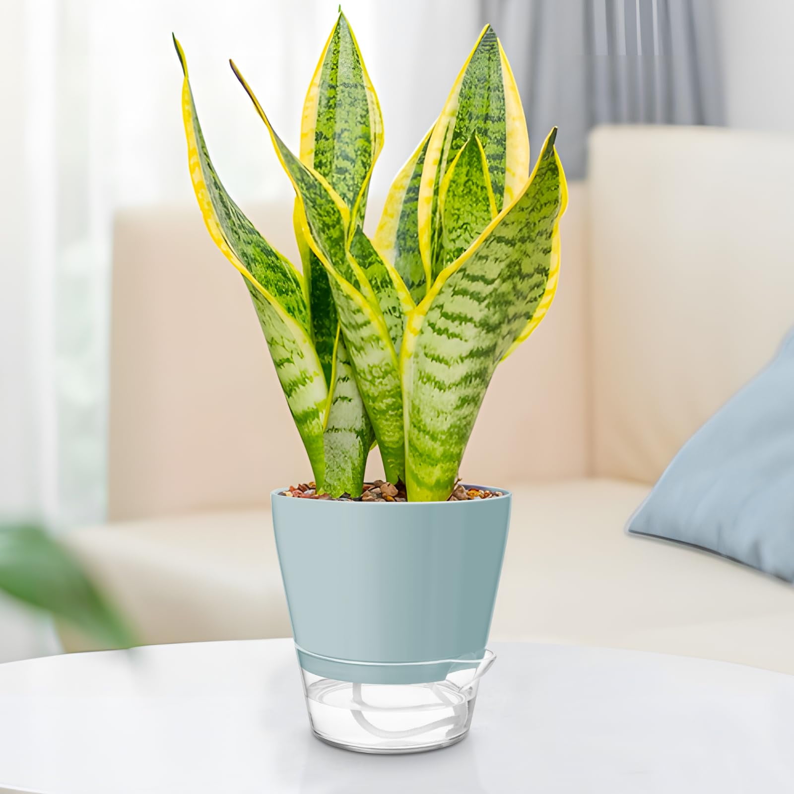 Samhe 6-Pack Self Watering Planters, 6 inch Plastic Self Watering Flower Pots with Drainage Holes and Saucers for Indoor Outdoor Plants