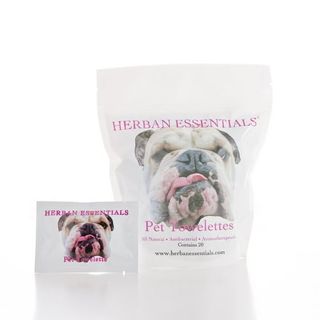 is lavender safe for dogs towelettes pet all lavender essential towelettes safe for dogs and is lavender safe for dogs towelettes pet all lavender essential towelettes safe for dogs and
