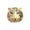 golden, variant on Fashionable oil-drop rhinestone tiger head portrait domineering men's brooch-golden