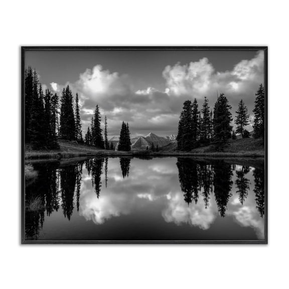 Stupell Industries Coastal Cloudy Lake Mountain Reflection Tall Pines Photography Landscape Black Framed Giclee Art, 14 x 11, by J.C. Leacock