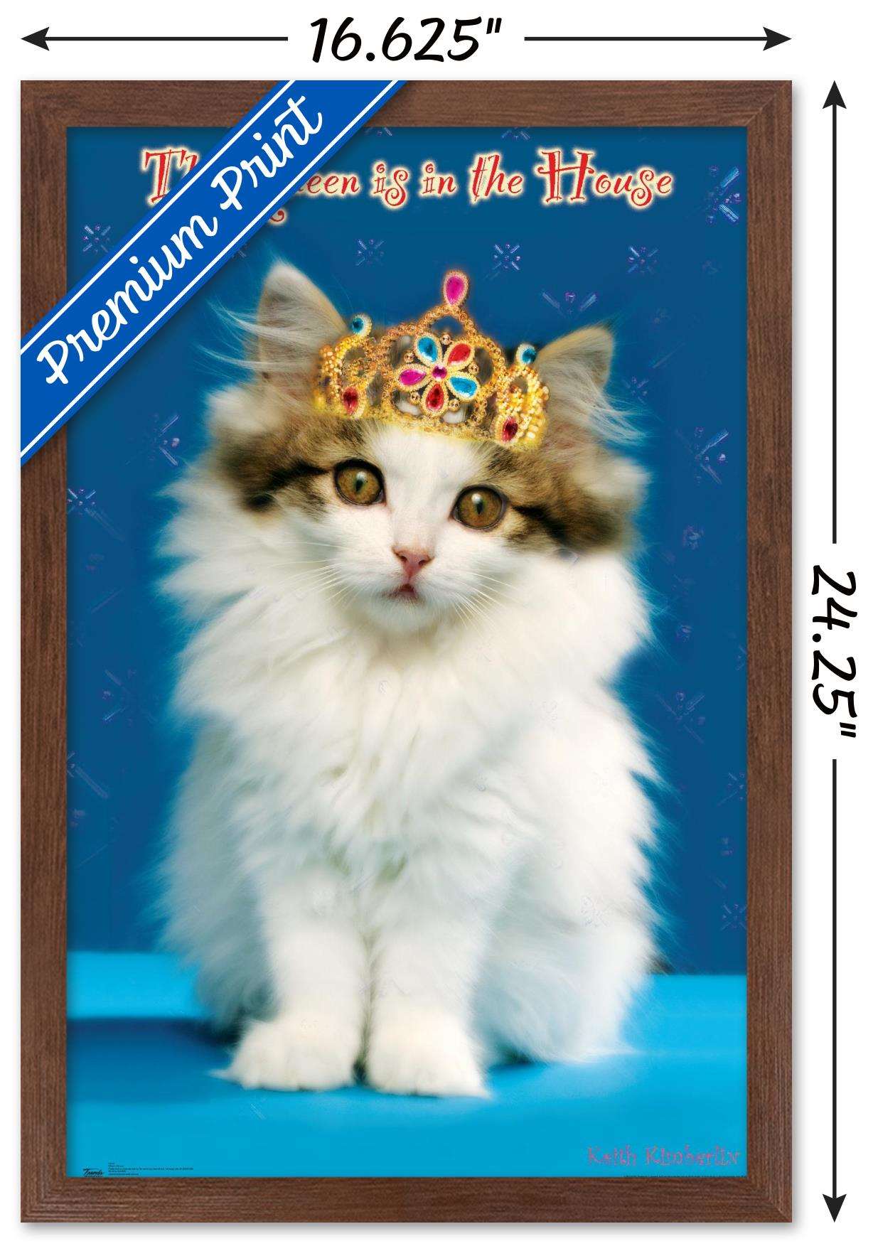 Keith Kimberlin - Kitten - Queen Wall Poster, 14.725" x 22.375", Framed