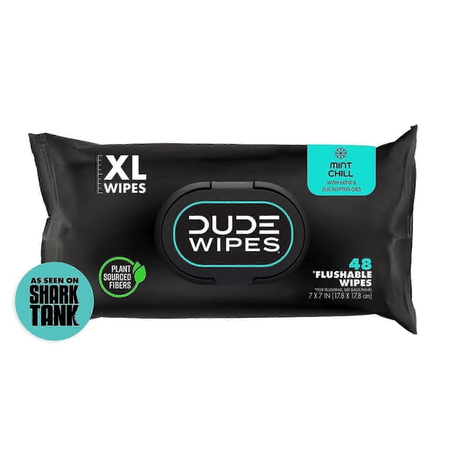 48 Count Scented Wet Wipes Dispenser For At-home Use Pack Of 1