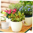 thumbnail image 4 of STRANDCHIC planter pot Flower Pot Plastic Drainage for Children's Activities 1Set, 4 of 8
