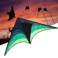 thumbnail image 2 of 1PC Large Delta Kite For Kids And Adults Single Line Easy To Fly Kite Handle Include, 2 of 6
