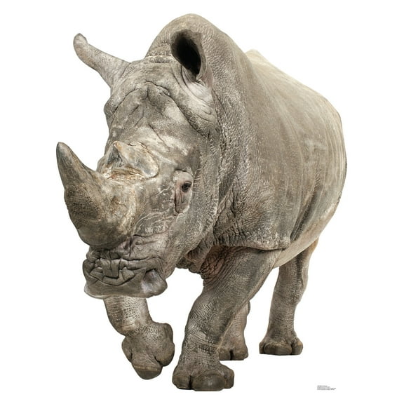 Advanced Graphics 1483 White Rhinoceros - 63" x 49" Cardboard Standup