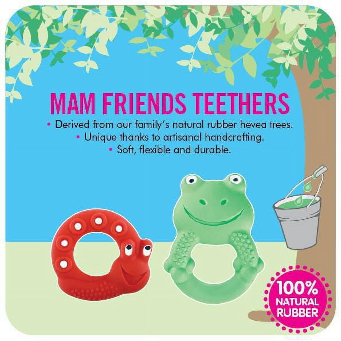 Jouet de dentition MAM Friends qui aide à promouvoir le développement, fait de caoutchouc entièrement naturel  - Lucy l'escargot, 2 mois et plus, 1 unité, unisexe