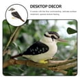 thumbnail image 3 of Miangastore Lifelike Bird Statue Lovely Bird Model Craft Statue Children Cognitive Toy, 3 of 8
