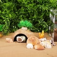 thumbnail image 2 of 1 Juego de escondite de cangrejo ermitaño, refugio de cáscara de coco, conchas de cangrejo ermitaño, piel de reptil, descanso de tortuga, cabaña, cueva, hábitat, accesorios de cangrejo ermitaño, 2 of 6
