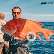 Rig Mate 80 lb Pre-Tied Dropper Loop Fishing Rigs – 60 Knots Bottom Leader Line for Offshore, Reef & Boat Fishing