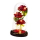 thumbnail image 1 of eterna Rosa en de cristal Arreglo floral de rosa de belleza para Valentín Cumpleaños de la madre Centro de mesa de Navidad Pétalo de base negro Yuyangstore Rose in Dome, 1 of 8