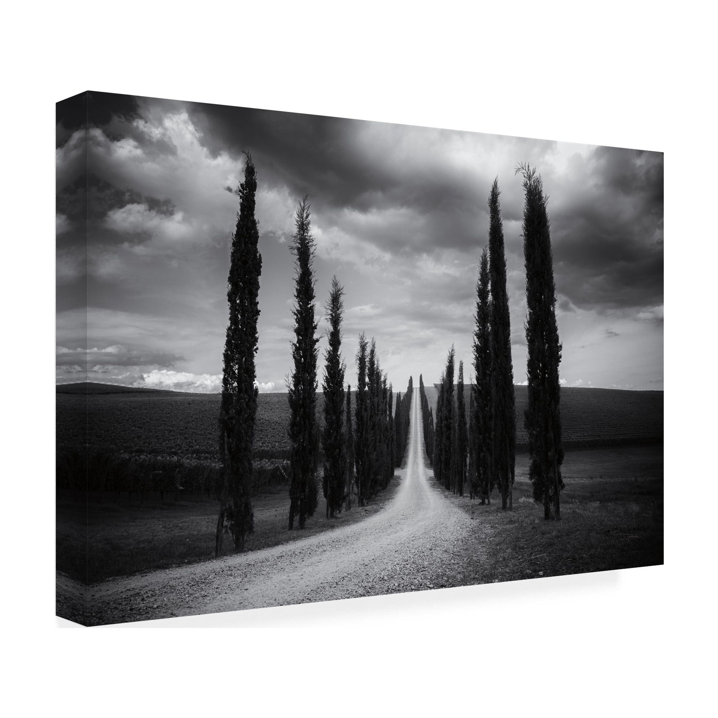 Aledanda 'Travelling In Tuscany' Canvas Art