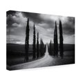 thumbnail image 4 of Aledanda 'Travelling In Tuscany' Canvas Art, 4 of 4