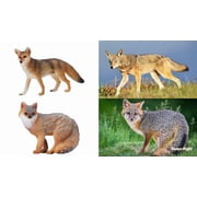Toymany 14pcs Simulation Mini North American Animals Mod