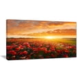 thumbnail image 2 of Beautiful Poppy Field at Sunset, 2 of 3