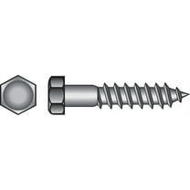 Hillman 5/16" Zinc-Plated Steel Hex Lag Screw