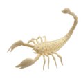 thumbnail image 2 of Modèle Animal en Plastique Simulation Dinosaure Réaliste Squelette Jouet Éducatif (Scorpion), 2 of 10