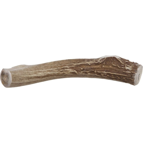 Prairie Dog | Deer Antler Chew | Naturally Shed - Hand Harvested in North America | X-Large | 8-9"