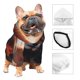 thumbnail image 3 of Fotbe Red Panda Autumn Branches Sudadera con Estampado para Perros Pequeños – Suéter con Capucha para Mascotas, Tela Suave de Forro Polar con Bolsillo-Medium, 3 of 7