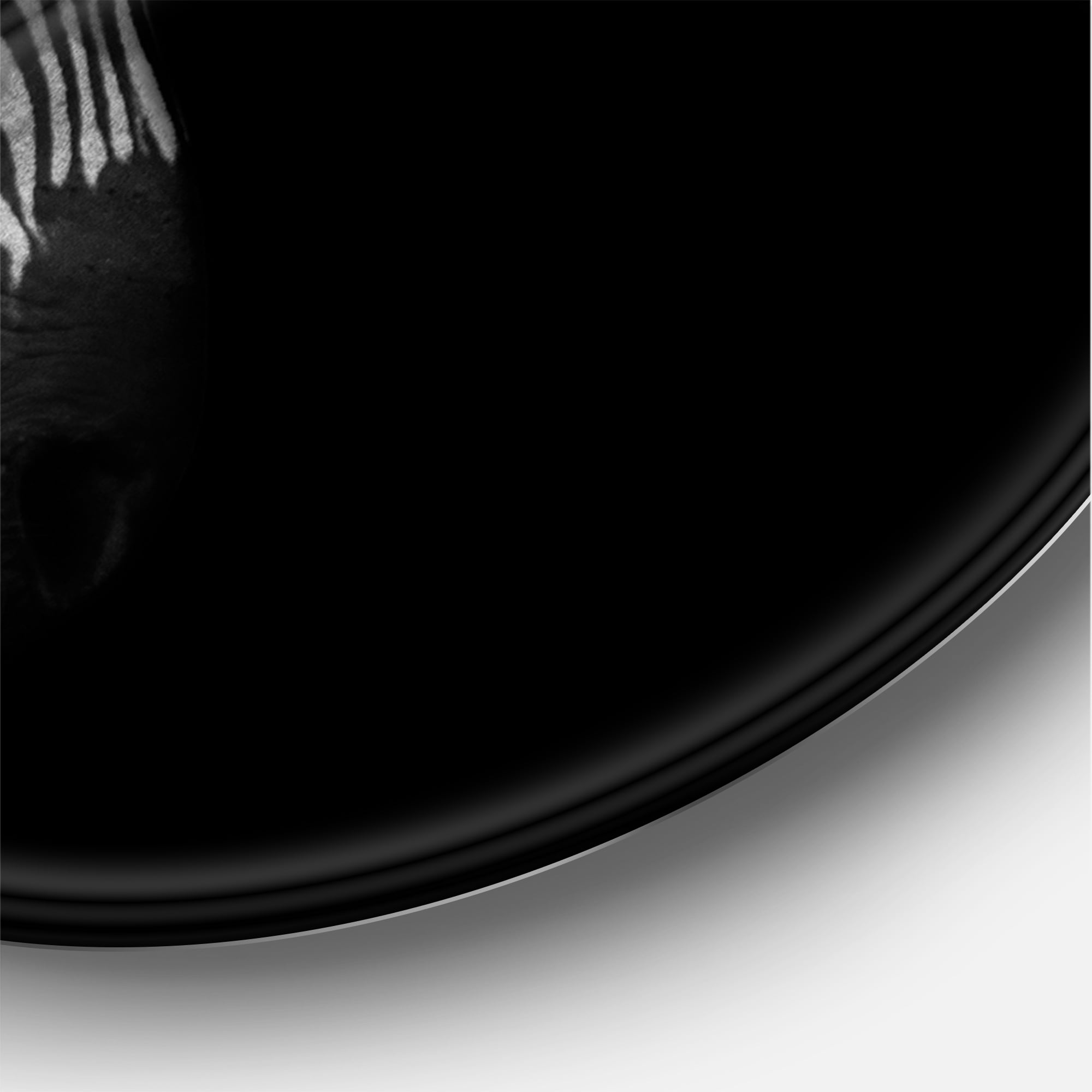 Designart 'Black and White Portrait of Zebra Head' Farmhouse Circle Metal Wall Art 23x23 - Disc of 23