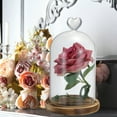 thumbnail image 5 of Uxcell 5.9"x4.7" Glass Dome Cloche Clear Bell Jar Display Case Tabletop Centerpiece with Wooden Base, 5 of 6