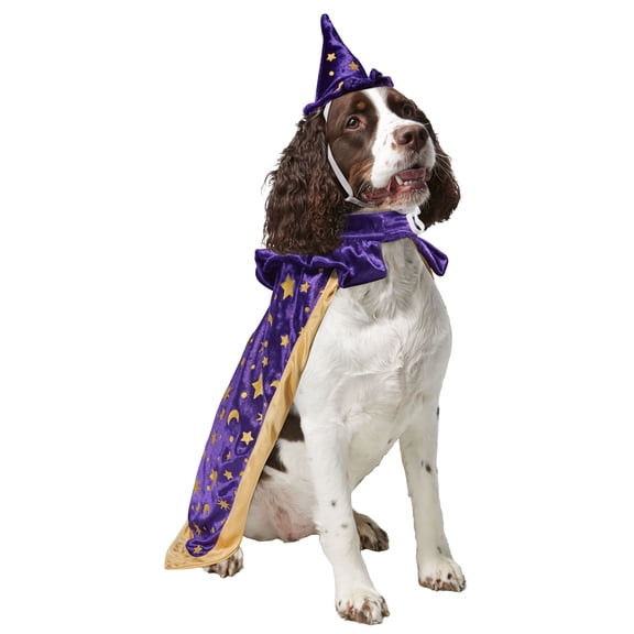 Rubies Wizard Pet Costume for Dogs or Cats, Small