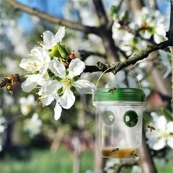 STAOEDU Fly Trap & Fly Catcher Bottle- Solar Wasp Trap Fruit Fly Trap with Natural Non-Toxic Bait Add Water