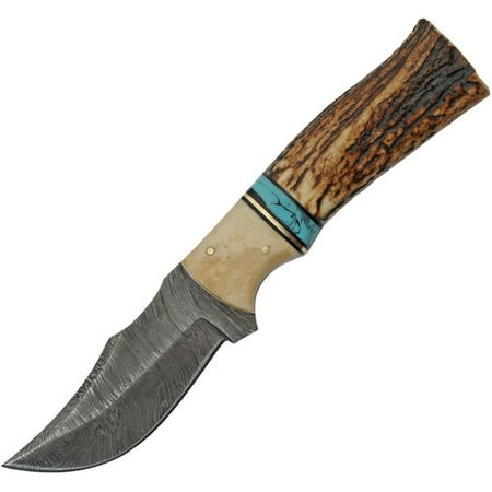 SANZ Damascus Hunting Knife 8.5 Inch - Camping Knife with Stag Handle with Torquoise Spacer Full Tang Blade & Sheath - Pocket Knife for Hunting & Outdoor uses - Knives for Men
