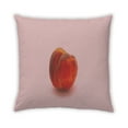 thumbnail image 2 of Ahgly Company Coussin d'Intérieur Pêche, 18 Pouces par 18 Pouces, 2 of 6
