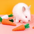 thumbnail image 3 of ROCKROK Grass Treat Grass 5Pieces Chew Toy Carrot Shape for Rabbit Teething, 3 of 11