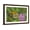 Brown Frame, variant on Art.com USA, California, Santa Barbara. Monarch butterfly on flower. Photographic Print by Jaynes Gallery, Brown Frame Wall Art, 23" x 17"