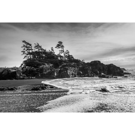 Tide coming in along the coast under a cloudy sky Tofino British Columbia Canada Stretched Canvas - Keith Levit  Design Pics (19 x