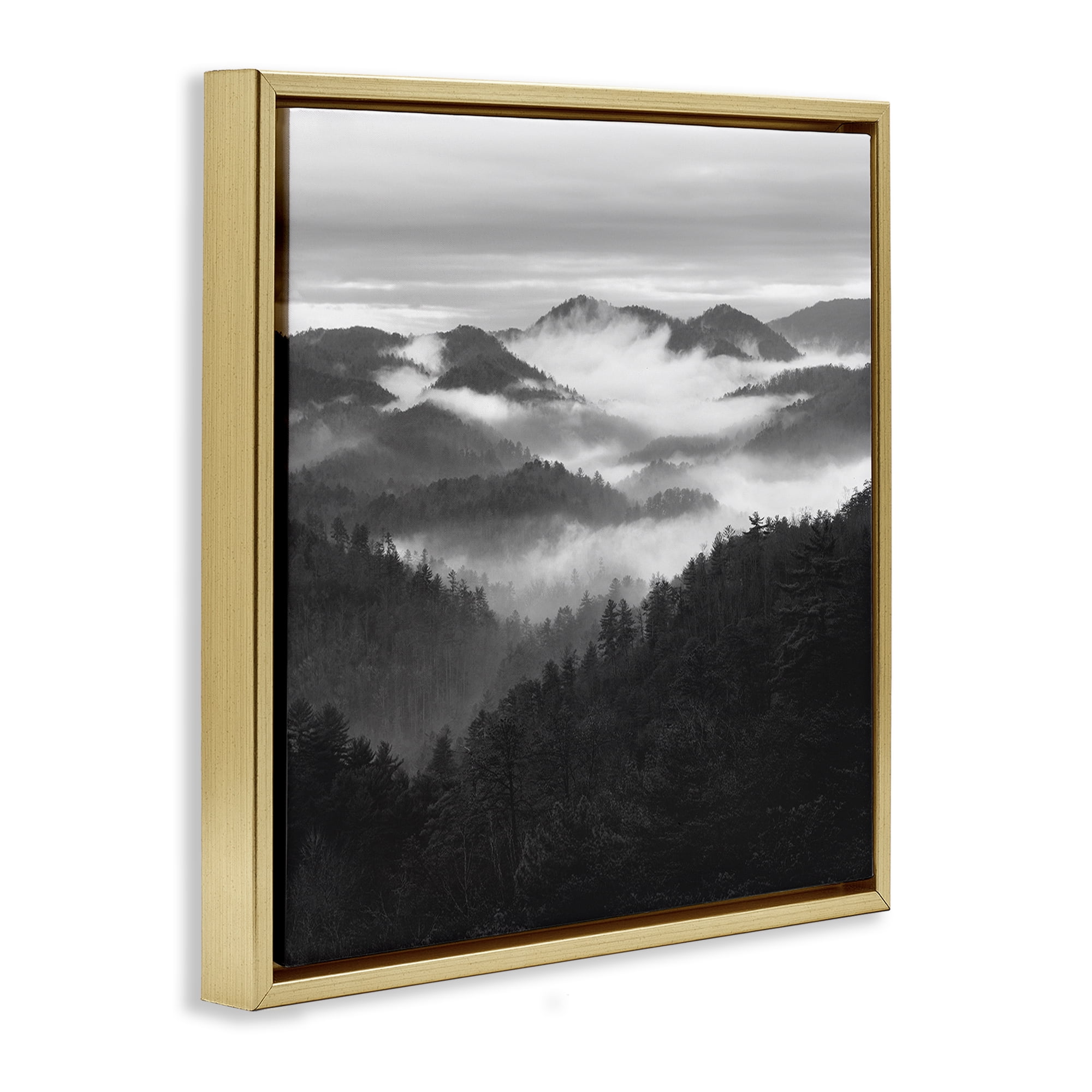 Stupell Industries Smoky Mountains Forest Gold Framed Floater Canvas Wall Art, design by Nicholas Bell