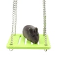 thumbnail image 2 of Juguete De Hámster De Madera Actividad De Animales Pequeños Ejercicio De Escalada (Swing Green), 2 of 3