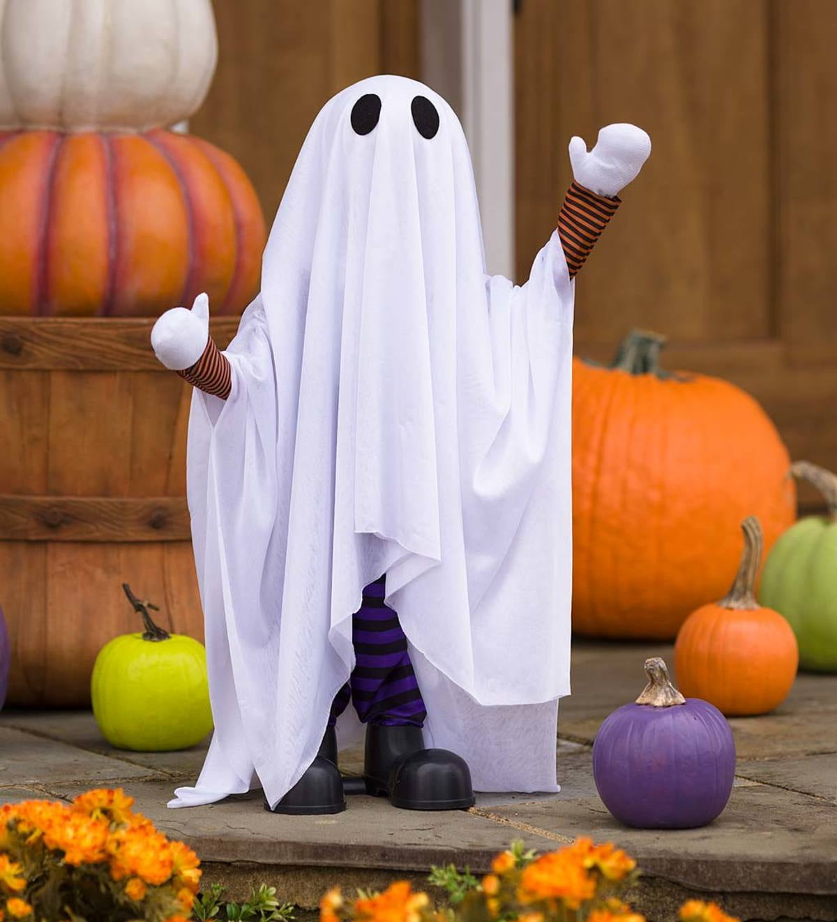 MotionActivated Talking Ghost Halloween Decoration