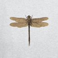 thumbnail image 3 of CafePress - Dragonfly Vintage Zip Hoodie - Zip Hoodie, Classic Hooded Sweatshirt with Metal Zipper, 3 of 4
