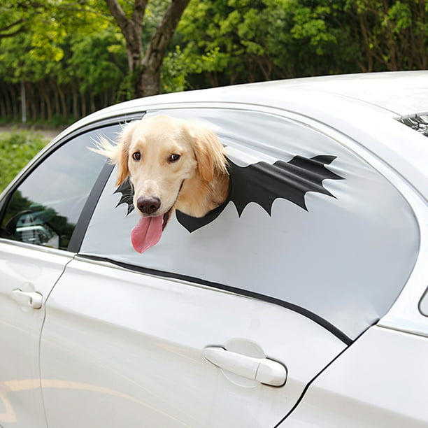 Dog car window hole hotsell
