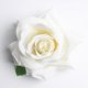 thumbnail image 4 of 10 piezas de flores artificiales de franela rosa cabezas de flores de bricolaje para bodas en casa crema Sunnimix Cabeza de flor, 4 of 8